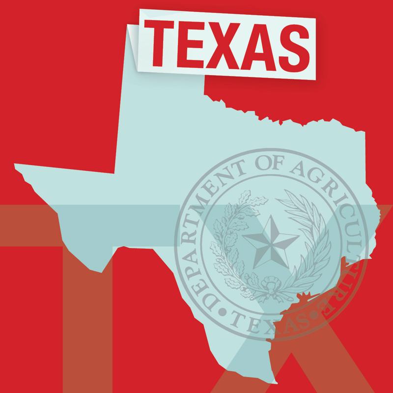 The Texas DFPS is modernizing its data system to better serve vulnerable residents.
