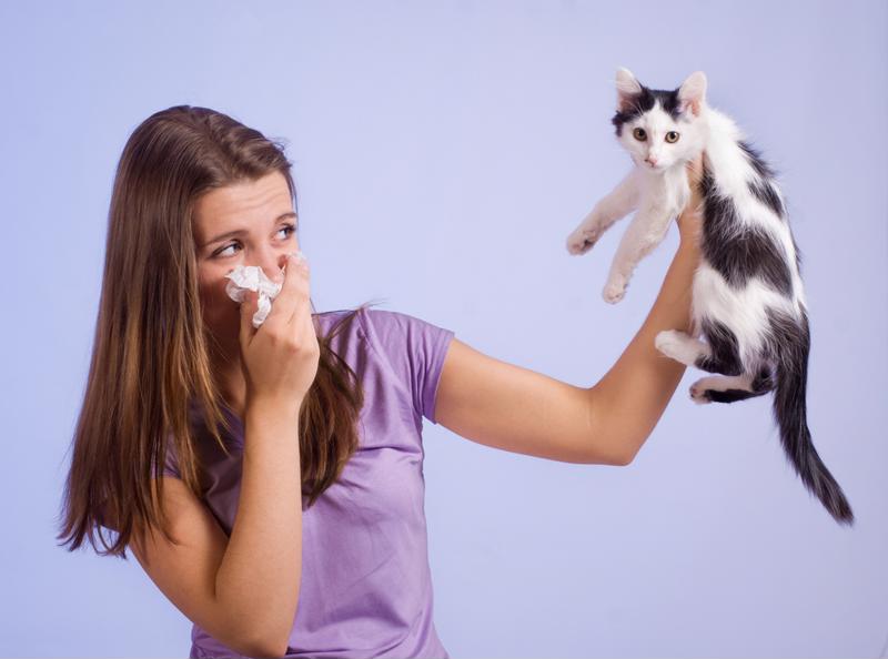 Here's how you can keep your cat and reduce allergy symptoms. 