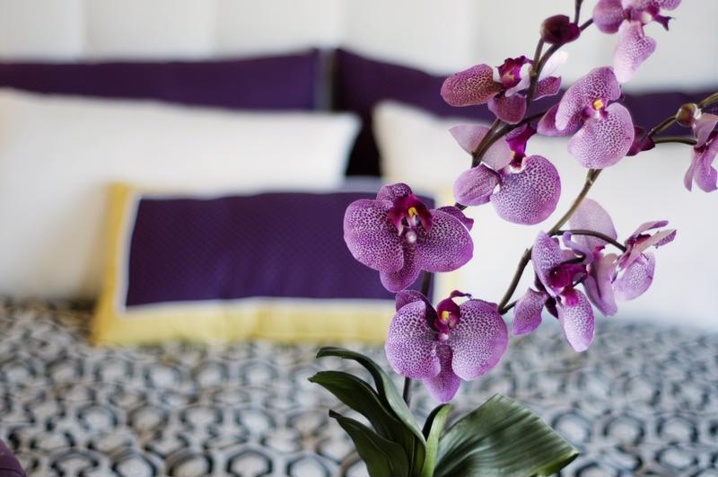 A potted orchid will add color to your home without aggravating your allergy symptoms.